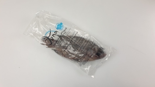 JONA Tilapia 500-800g